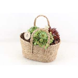 arr4 Semp PL - Jute tas 338/4