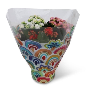 KAL GE GEM I POT