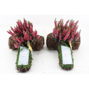 arr4 Outdoor JS - Allerheiligen Salim kruis x3