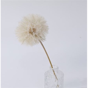 Stem Dandelion L35w12h12