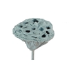 Lotus 5-7cm on stem Covered Light Blue