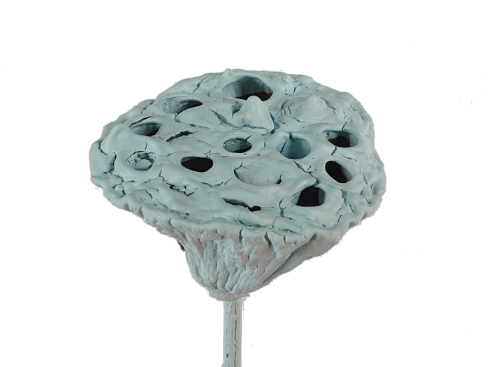 Lotus 5-7cm on stem Covered Light Blue