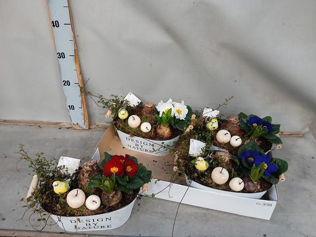 <h4>ARR BOL KNOLGEWAS</h4>