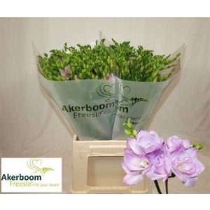 Fr Du Romantic Lavendel