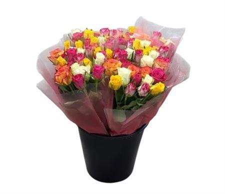 <h4>R Gr Rainbow Mix</h4>