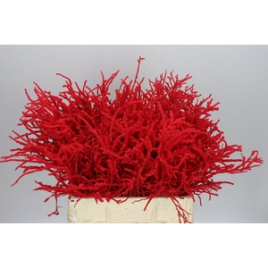 Vac Huck Flocked Red