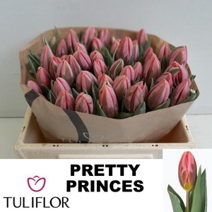 TU EN PRETTY PRINCES