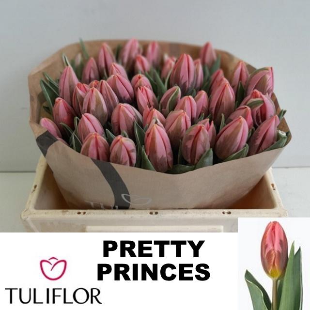 <h4>TU EN PRETTY PRINCES</h4>
