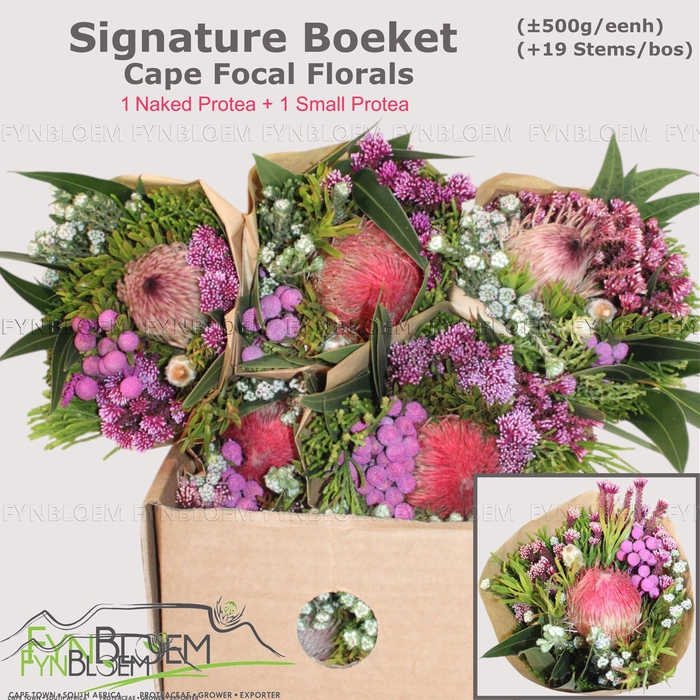 <h4>PROTEA PER BOS</h4>