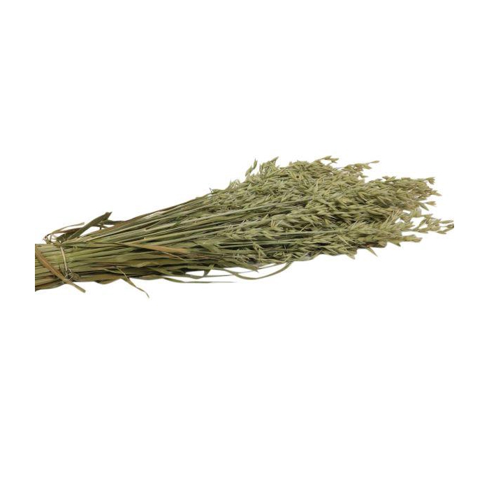 <h4>Bunch Avena 200g L60</h4>