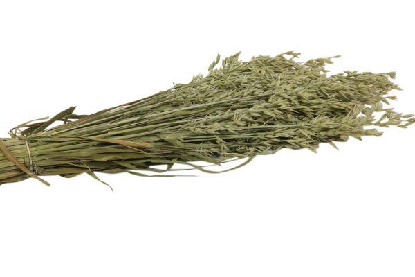 Bunch Avena 200g L60