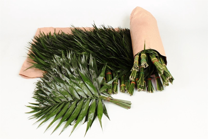 <h4>Chico Doro Rolls (air)</h4>