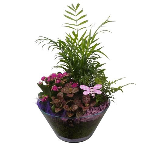 <h4>PTIG2676 Arrangementen kamerplanten</h4>