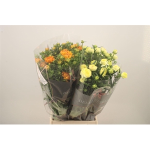 Ran N Moderna Mixed In The Bucket