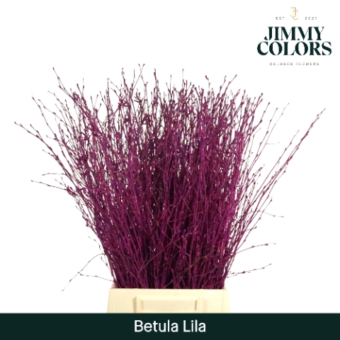 <h4>Betula L60 Lila</h4>