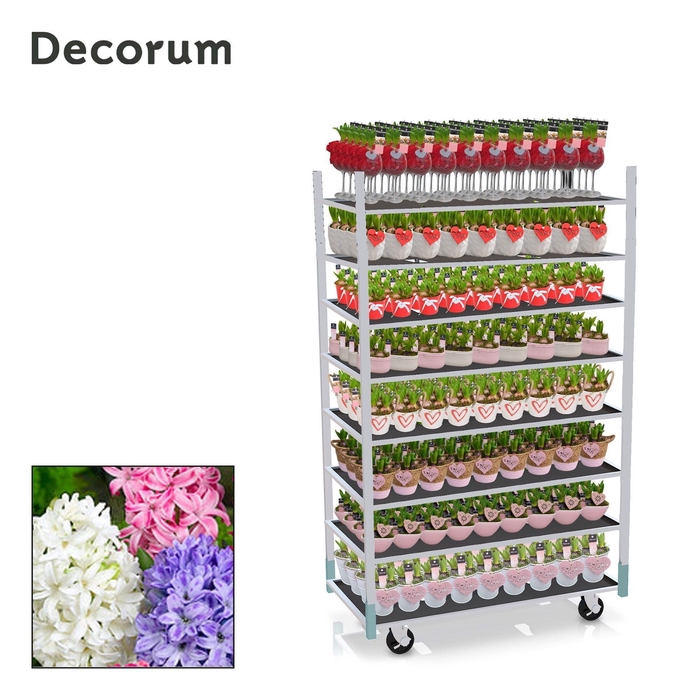 CC TENDER MAXI 2026 - 1 prijs per stuk, incl. fust