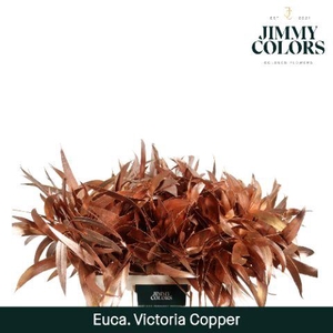 Victoriablad Gekleurd Mtlc. Koper