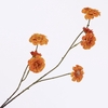 Zinnia Spray Orange FL440346ORA