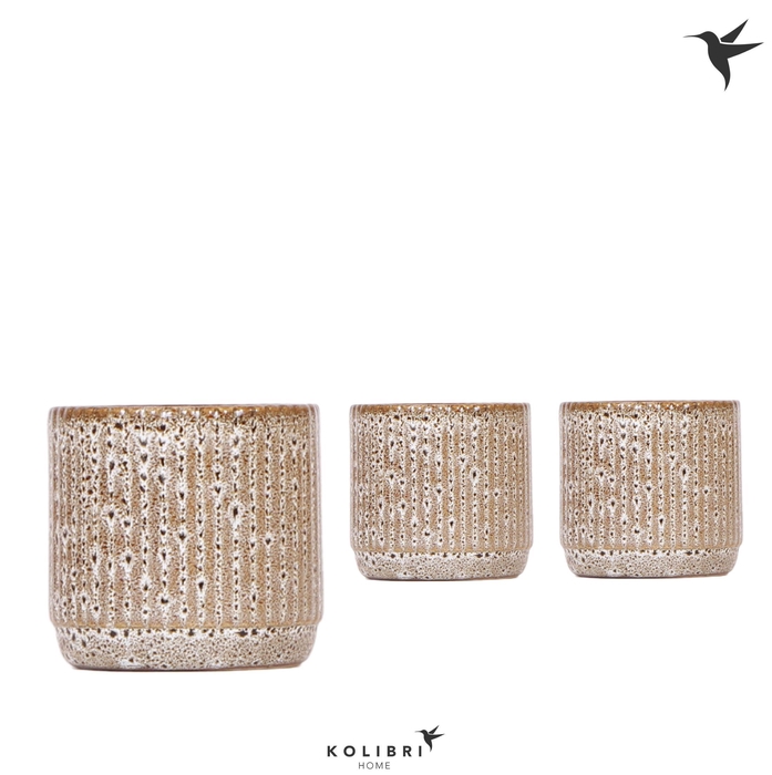 <h4>Kolibri Home Jaguar pot</h4>