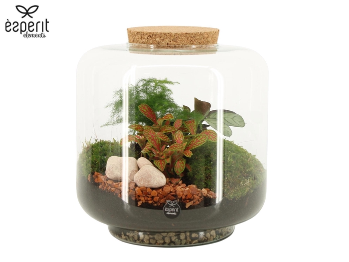 <h4>90615: Terrarium arrangement</h4>