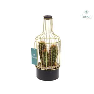 Metalen fles zwart klein FC22.1241