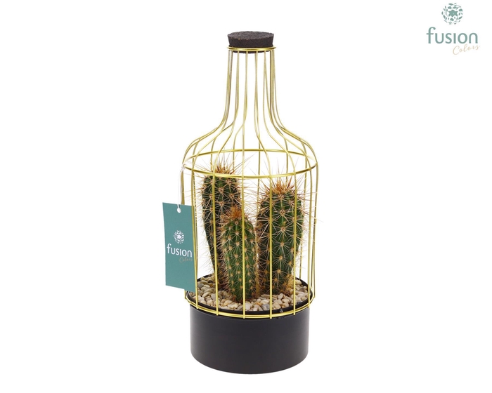 <h4>Metalen fles zwart klein FC22.1241</h4>