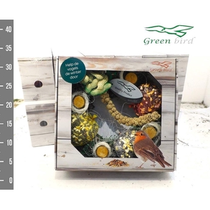 Nieuw Voeder Krans Mini in kado Doos