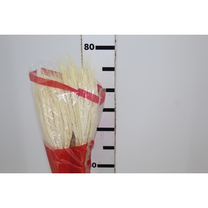 FLOR DE TRIGO ALVEJADO