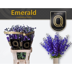 DELPH DU EMERALD 90CM X40