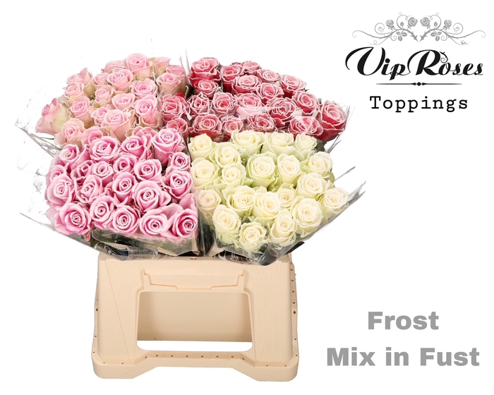R GR FROST MIX IN FUST
