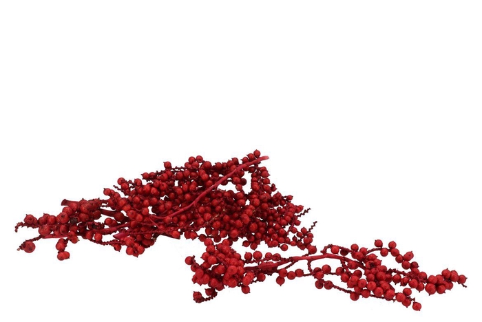 Pick Nature Canella Red P/30