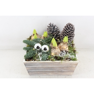 arr4 Hyacint JS - Hout 4kant LED