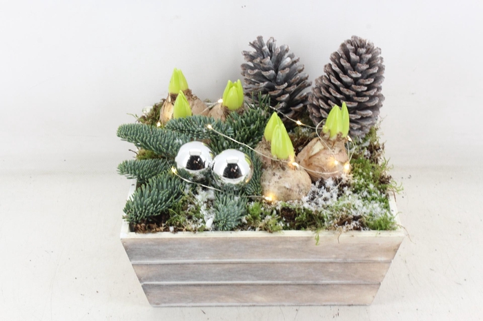 <h4>arr4 Hyacint JS - Hout 4kant LED</h4>