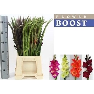 Glad Gr Mix In Bucket Flowerboost