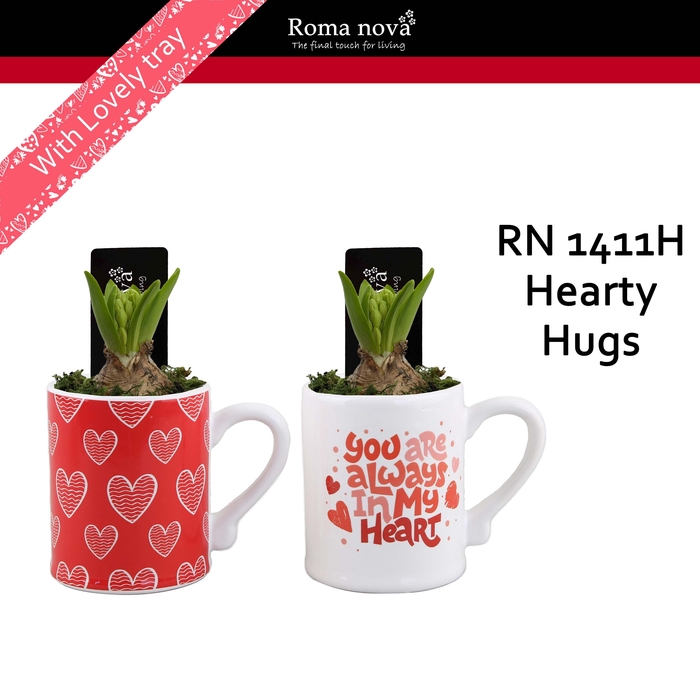 <h4>1411H - Hearty Hugs (Hyacint)</h4>