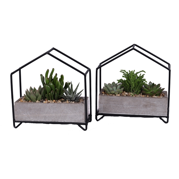 <h4>3x succulenten mix in metalen huisplanter</h4>