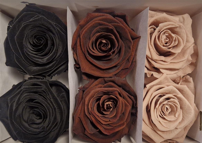 Ro Pres Classic Mix Earth