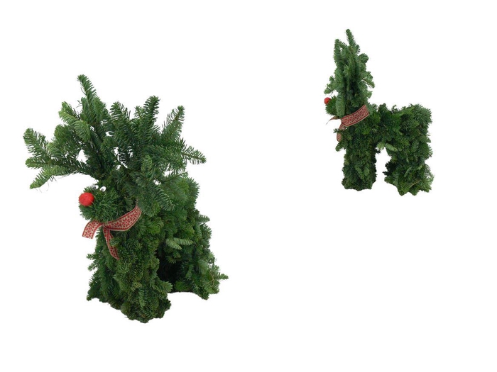 <h4>Nobilis Hert Small</h4>