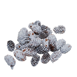 Pine cone Spruce mini 4-5cm 180g