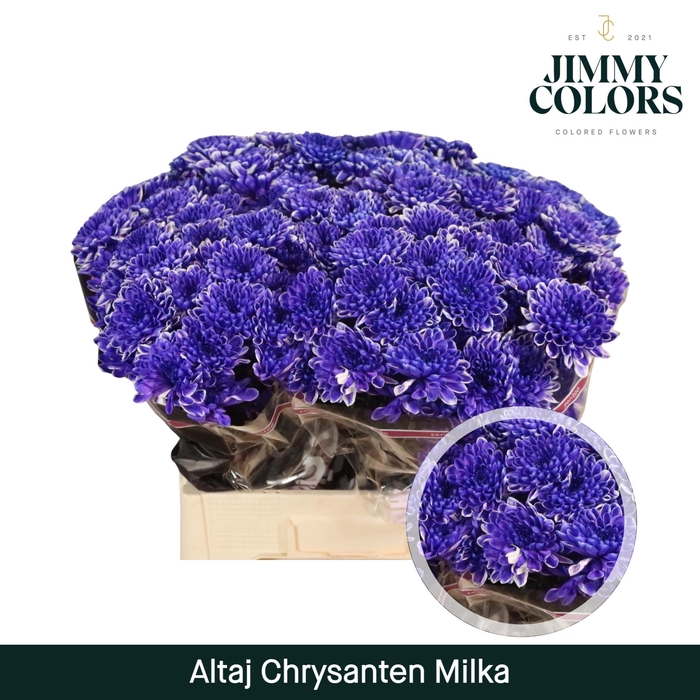 <h4>Chr T Altaj Milka</h4>