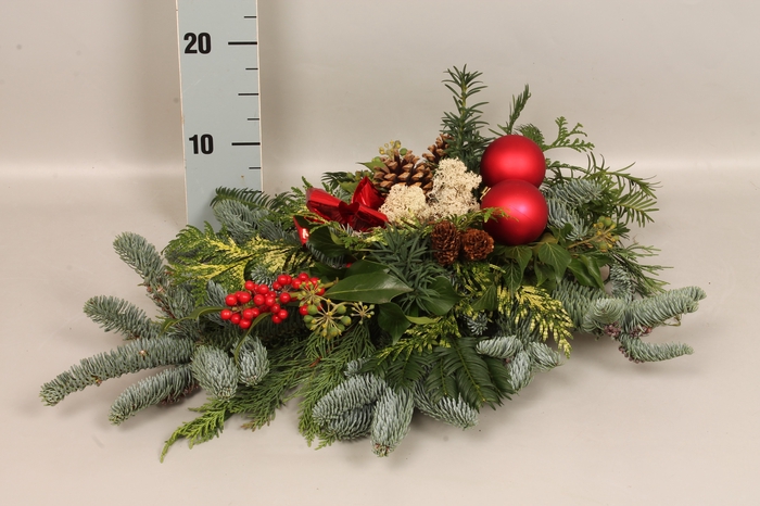 Natuur tak Rode bal/strik/hulst 60/40