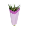 Slv 40x30x12cm OPP35 Arrow purple