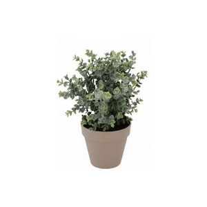 Silk Eucalyptus Green In Pot Terra L 30x30x40cm