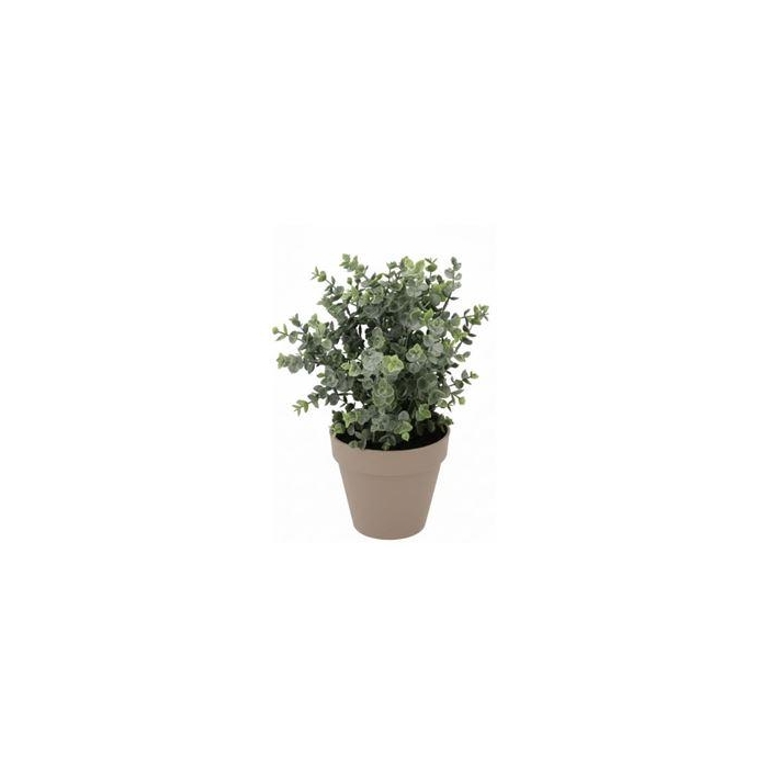 <h4>Silk Eucalyptus Green In Pot Terra L 30x30x40cm</h4>