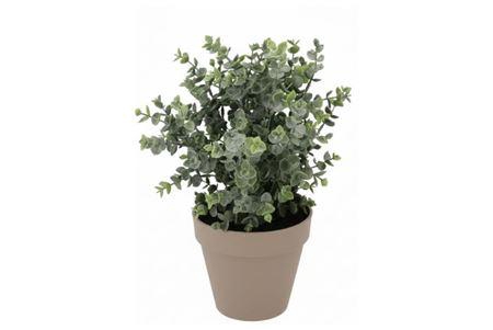 Silk Eucalyptus Green In Pot Terra L 30x30x40cm Nm
