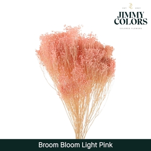 Broom Bloom Light Pink