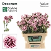 Di Fiorino Value