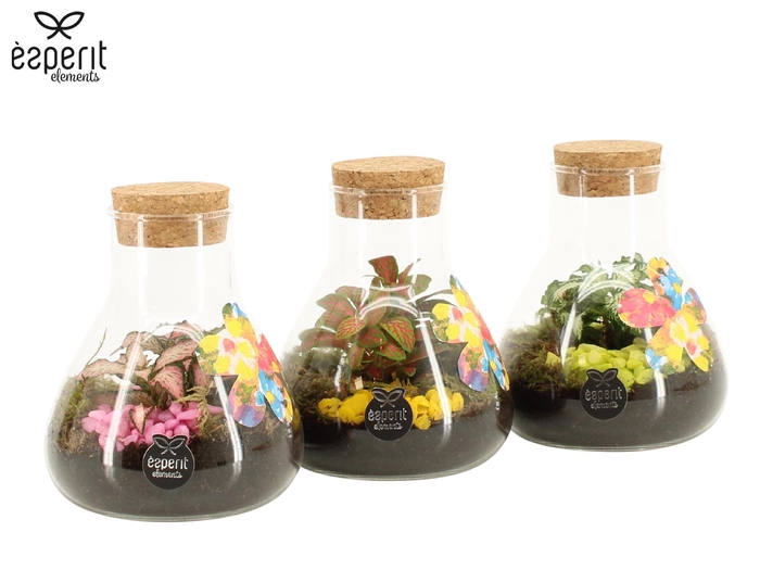 <h4>31764: Reinvention terrarium mini Erlenmeyer D10 / H14</h4>