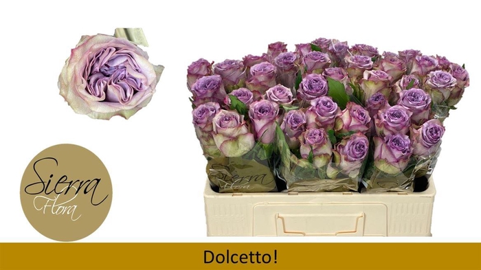 <h4>R Gr Dolcetto!</h4>