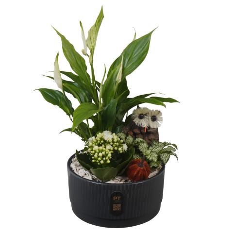 <h4>PTHI3226 Arrangement Autumn Indoor in keramiek schaal</h4>